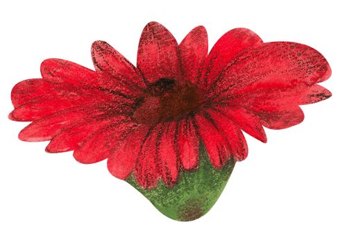Watercolor Floral Botanical hand paint png