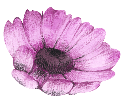 Watercolor Floral Botanical hand paint png