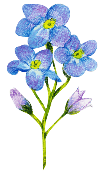 Watercolor Floral Botanical hand paint png