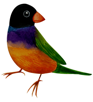 Little Bird watercolor hand paint png