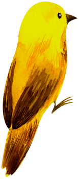 Little Bird watercolor hand paint png