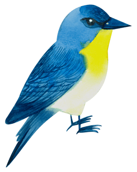 Little Bird watercolor hand paint png