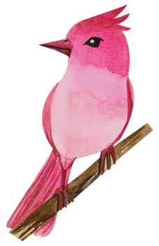 Little Bird watercolor hand paint png