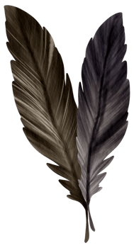 Autumn element watercolor ornament png