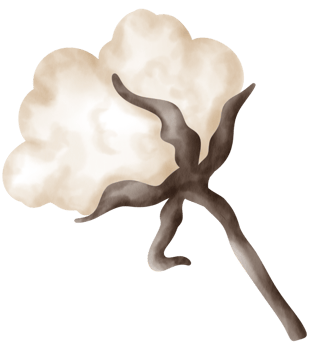 Autumn element watercolor ornament png