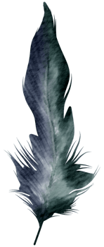 Feather watercolor hand paint png