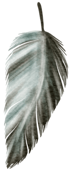 Feather watercolor hand paint png