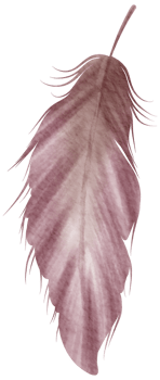 Feather watercolor hand paint png