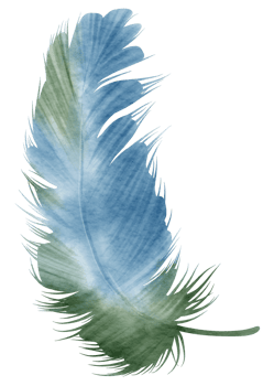 Feather watercolor hand paint png