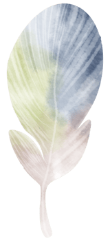 Feather watercolor hand paint png