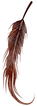 Feather watercolor hand paint png