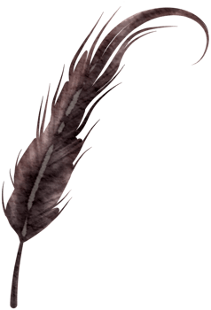 Feather watercolor hand paint png
