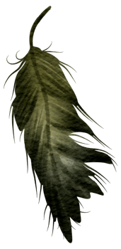 Feather watercolor hand paint png