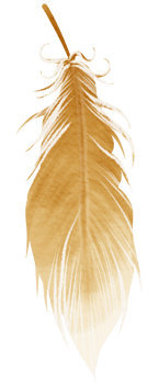 Feather watercolor hand paint png