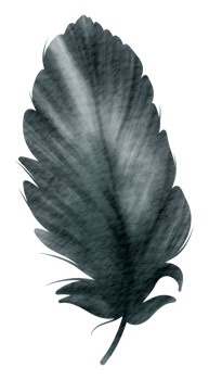 Feather watercolor hand paint png