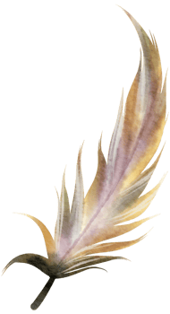 Feather watercolor hand paint png