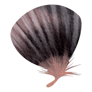 Feather watercolor hand paint png