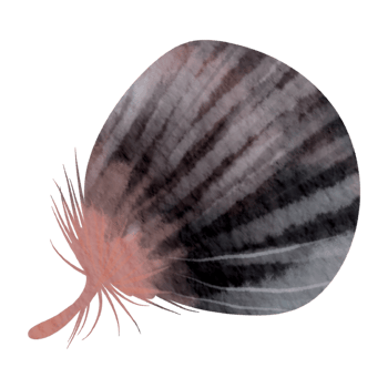 Feather watercolor hand paint png