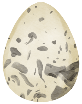 Egg watercolor hand paint png