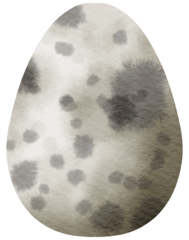 Egg watercolor hand paint png