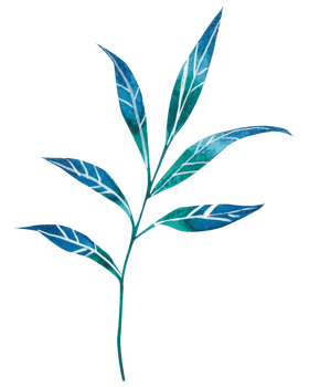 foliage watercolor leaf hand paint png
