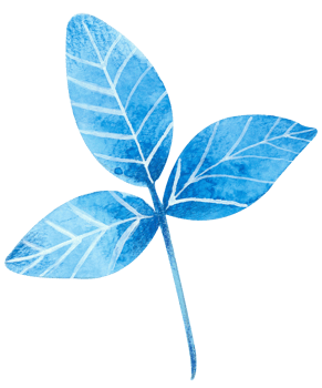 foliage watercolor leaf hand paint png