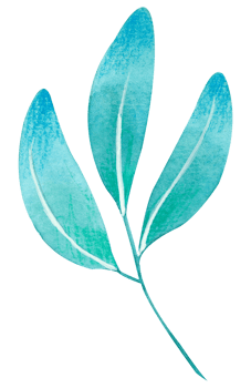 foliage watercolor leaf hand paint png
