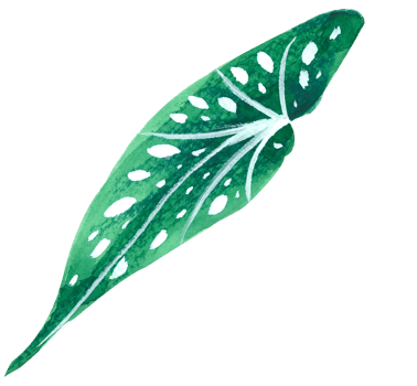 foliage watercolor leaf hand paint png