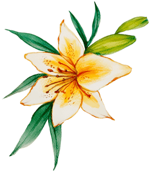 Watercolor Floral Botanical hand paint png