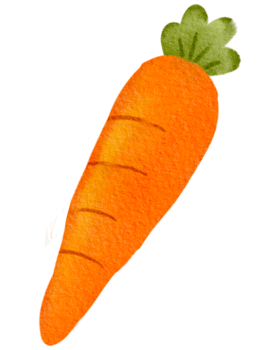 Carrot vegetable watercolor png