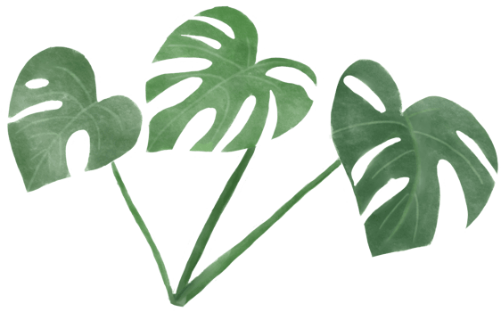 foliage watercolor leaf hand paint png
