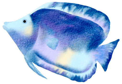 Under the sea animal watercolor png