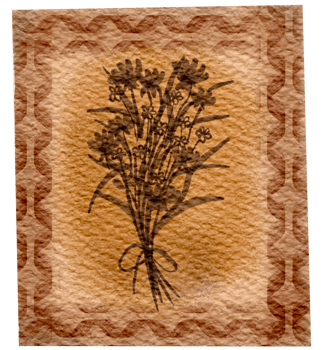 Vintage element watercolor ornament png