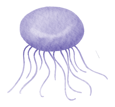 Nautical watercolor marine life hand painted png