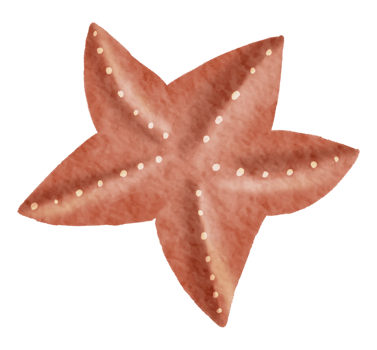 Nautical watercolor marine life hand painted png