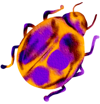 Bug watercolor insect hand painted png