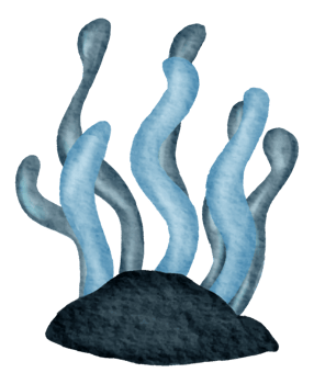 Nautical watercolor marine life hand painted png