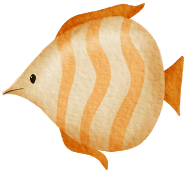 Nautical watercolor marine life hand painted png