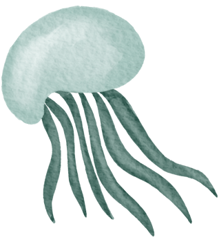 Nautical watercolor marine life hand painted png