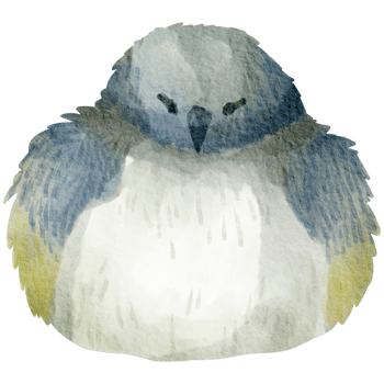 Birdhouse watercolor hand painted png