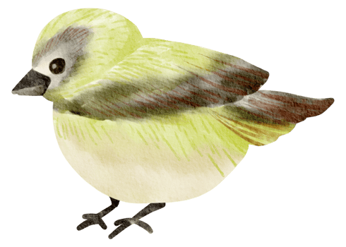 Birdhouse watercolor hand painted png