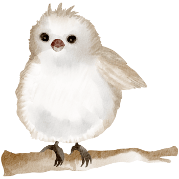 Birdhouse watercolor hand painted png