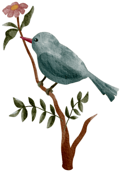 Birdhouse watercolor hand painted png