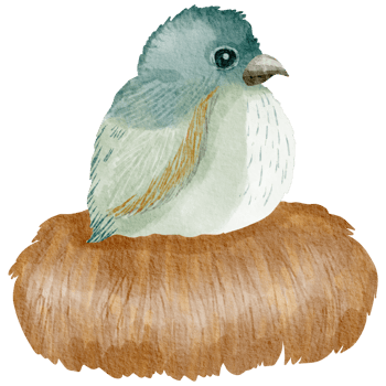 Birdhouse watercolor hand painted png