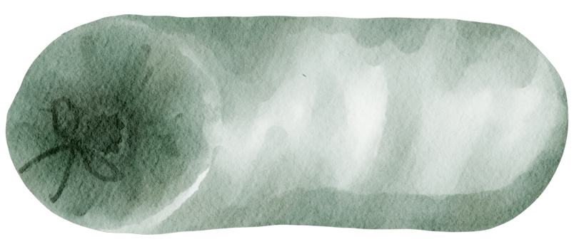 Camping outdoor watercolor png