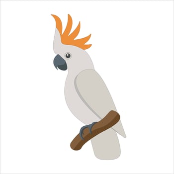 Cute flat cockatoo isolated on white background. Vector parrot.