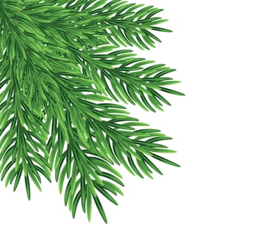 Green fir branches, decoration for Christmas and New Year on a transparent and white background. Universal template for flyers, postcards, price tags, invitations, Christmas tree vector no raster