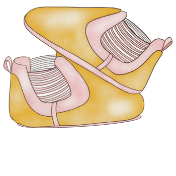 beautiful watercolor newborn shoes png