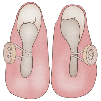 beautiful watercolor newborn shoes png