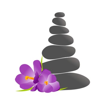 Rock Balance and Flower logo vector